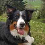 Gsolhof