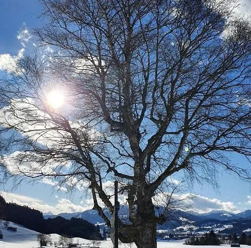 Gsolhof Appartamento *